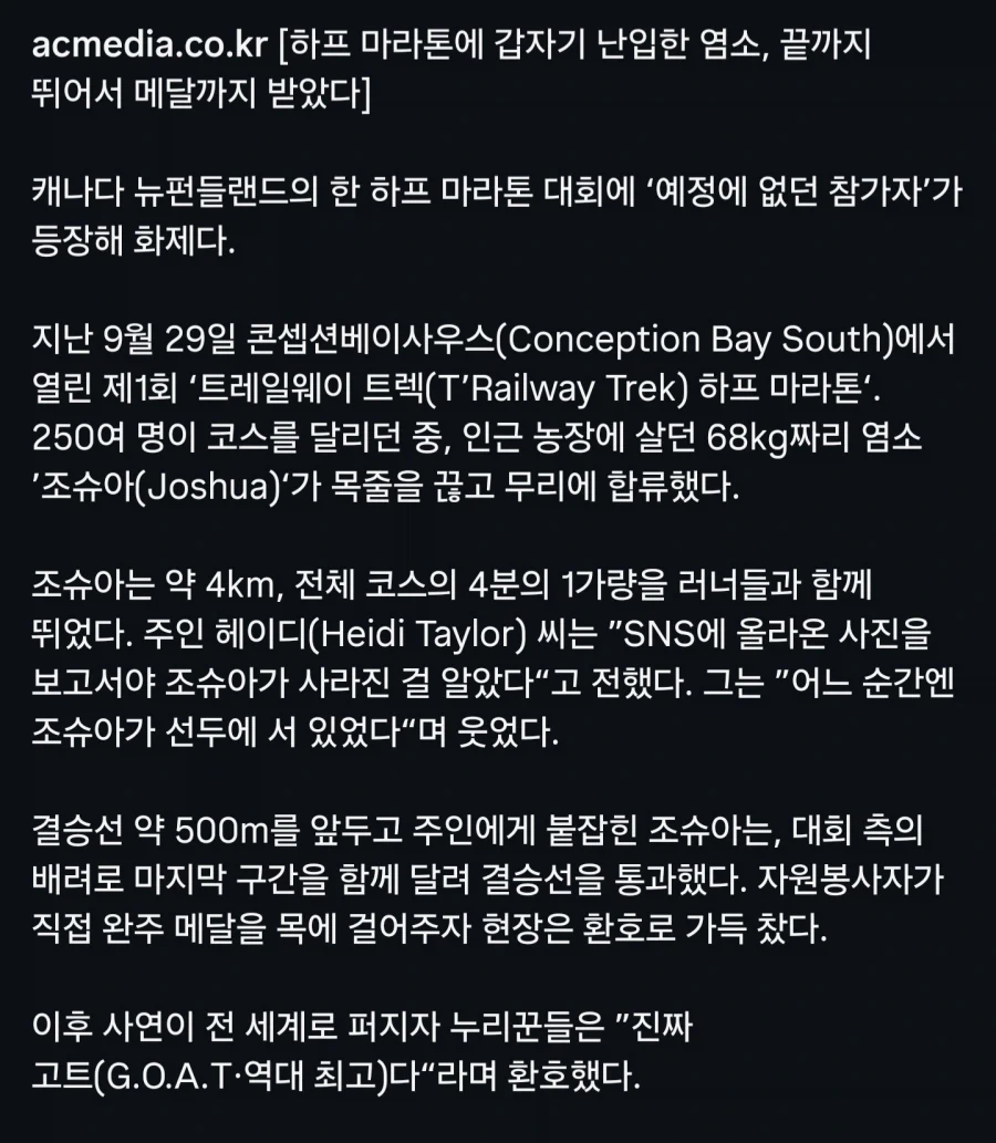 마라톤 대회 난입 염소, 끝까지 뛰어 메달까지..._7.webp
