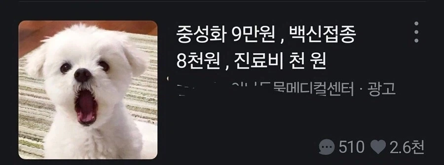 항의하는 모습이 담긴 광고 모델_1.webp