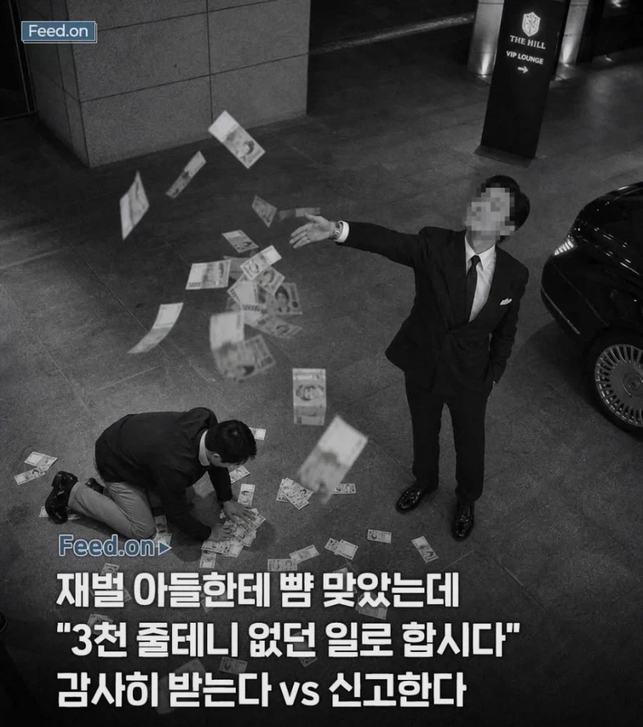 재벌한테 뺨 맞았는데 3000만원 보상금 준다면_1.webp