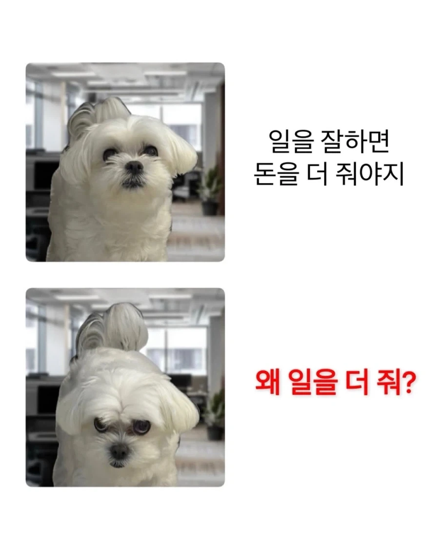 일을 잘하면 돈을 더 줘야지.._1.webp