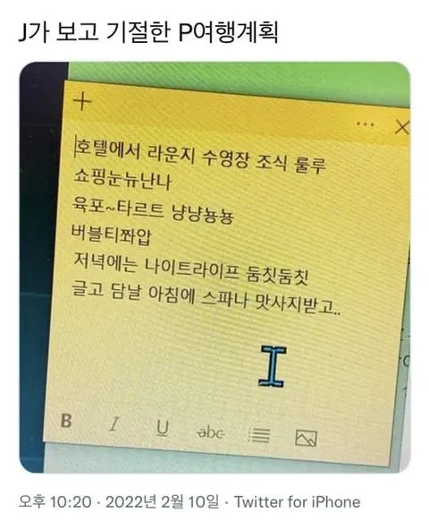 J가 보고 혼절한 P의 여행계획.jpg_1.webp
