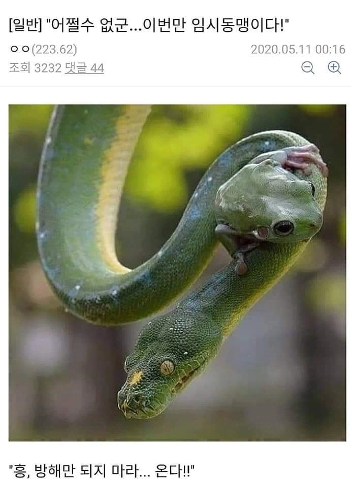 AI로 개드립 짤을 만들기 전엔 말로만 했지..._3.webp