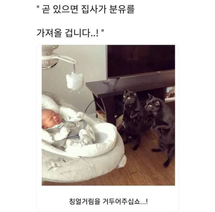 AI로 개드립 짤을 만들기 전엔 말로만 했지..._4.webp