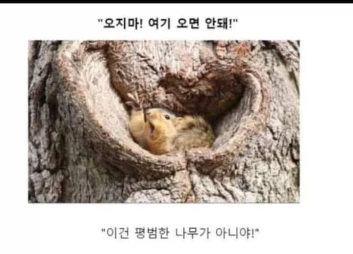 AI로 개드립 짤을 만들기 전엔 말로만 했지..._6.webp