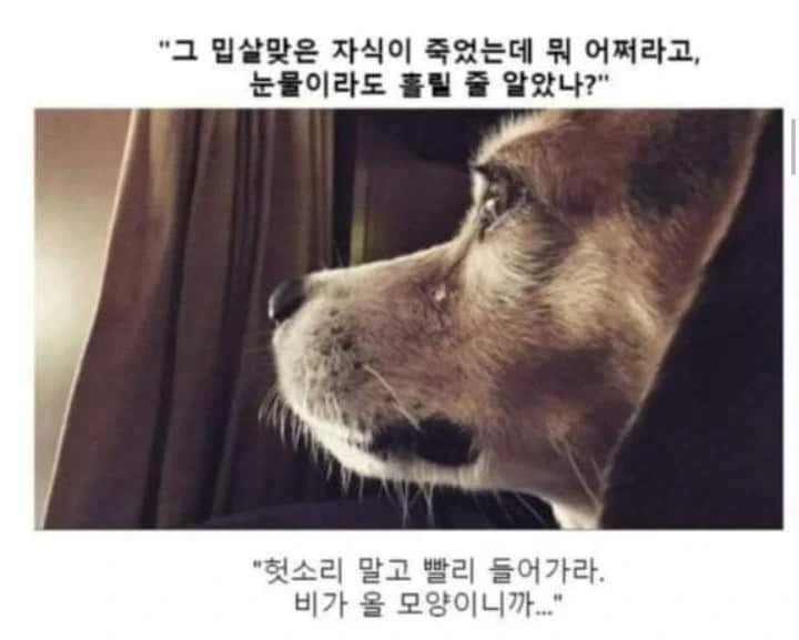 AI로 개드립 짤을 만들기 전엔 말로만 했지..._11.webp