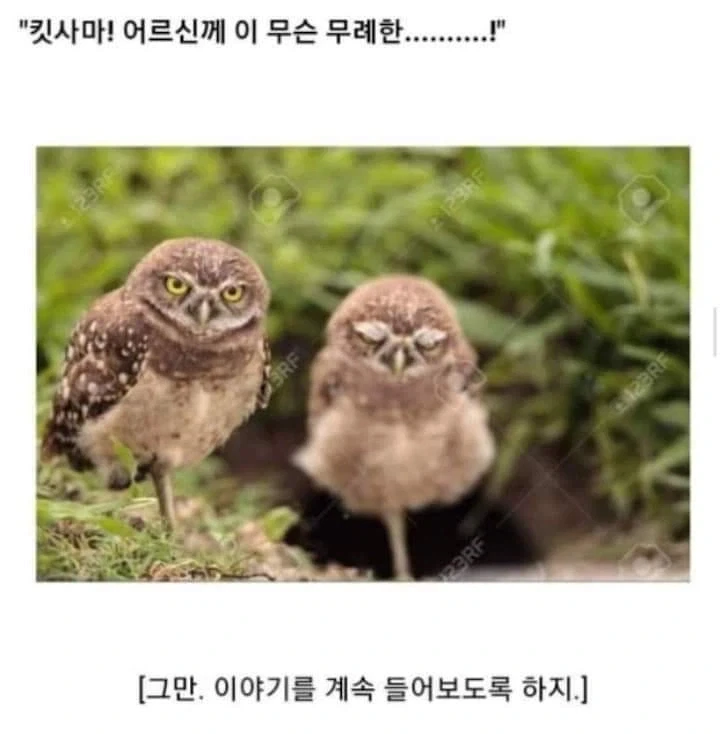 AI로 개드립 짤을 만들기 전엔 말로만 했지..._13.webp