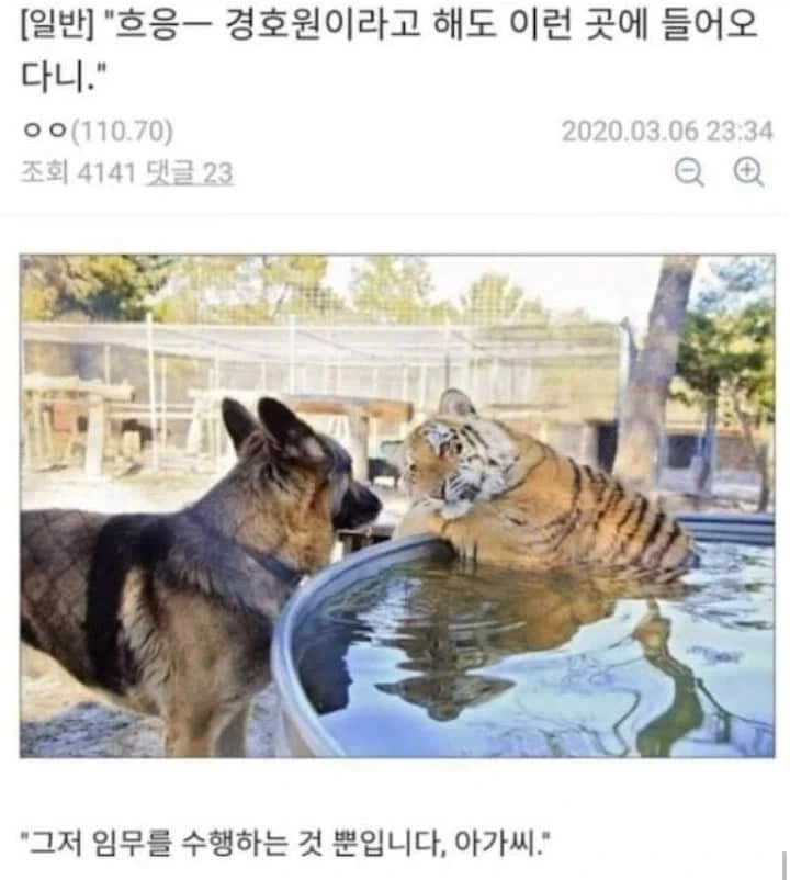 AI로 개드립 짤을 만들기 전엔 말로만 했지..._14.webp
