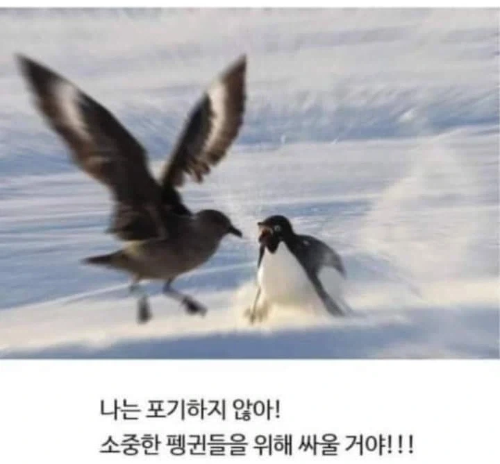AI로 개드립 짤을 만들기 전엔 말로만 했지..._18.webp