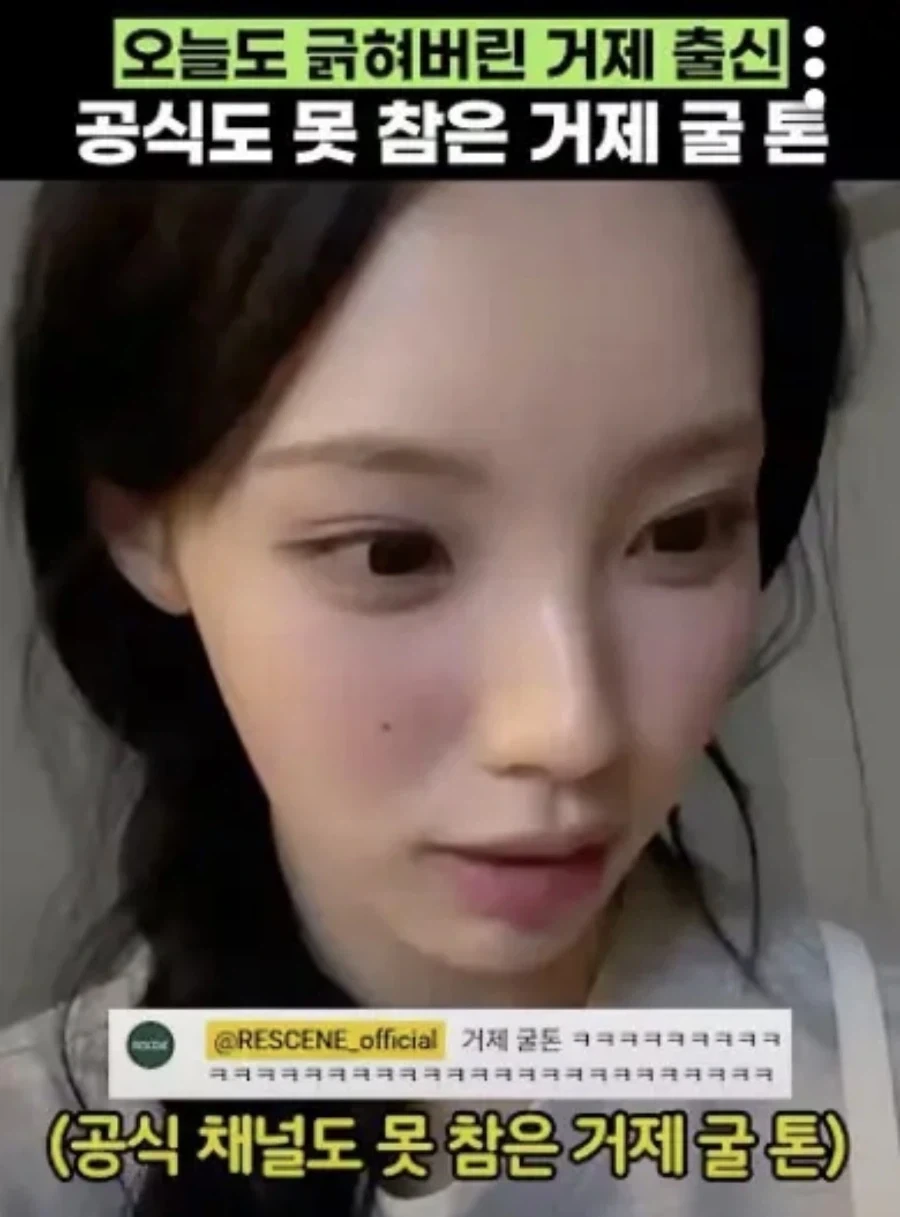 리센느 공식도 웃겨버린 거제 굴 톤_1.webp