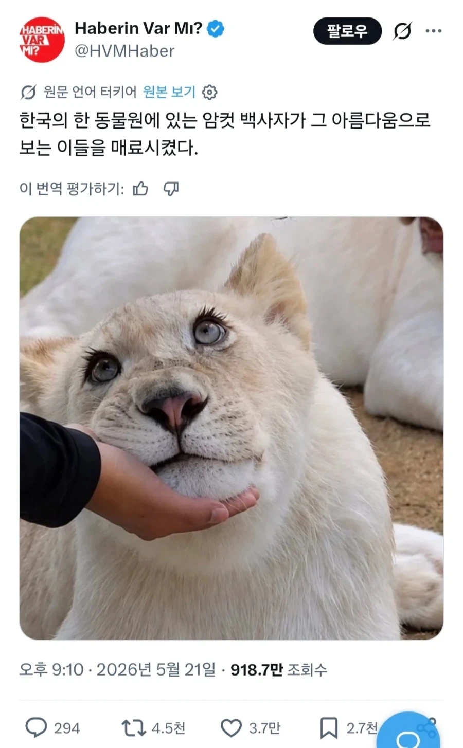 암사슴이랑 비견되는거_1.webp
