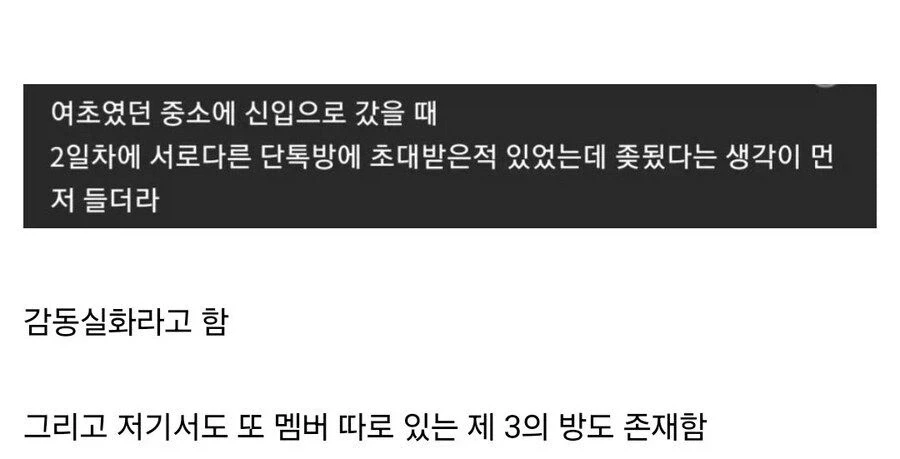 여초기업 입사 후 단톡방 초대 받음.jpg_1.webp