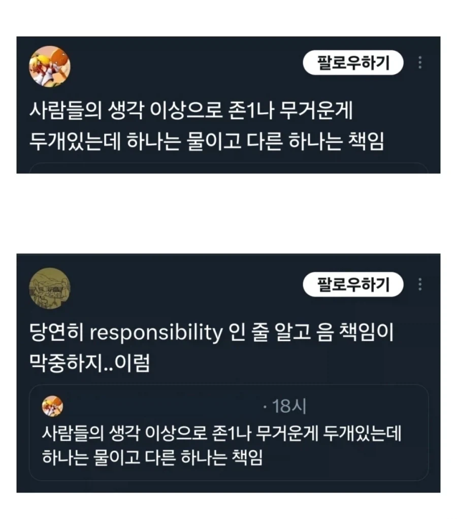 사람들의 생각보다 존나 무거운 것 중 하나는 책임_1.webp