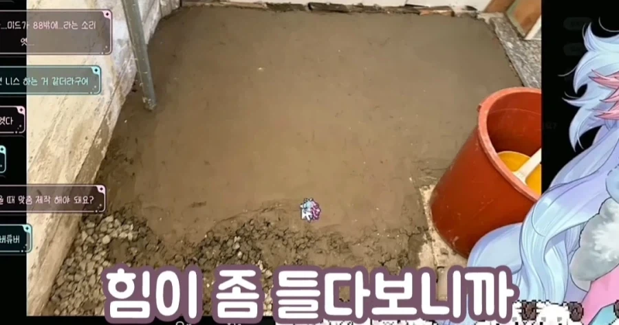 사람 묻으려면 시멘트 500kg 필요하다는 여성 방송인_3.webp