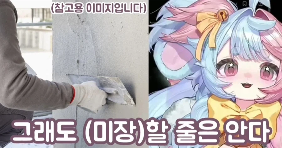 사람 묻으려면 시멘트 500kg 필요하다는 여성 방송인_5.webp