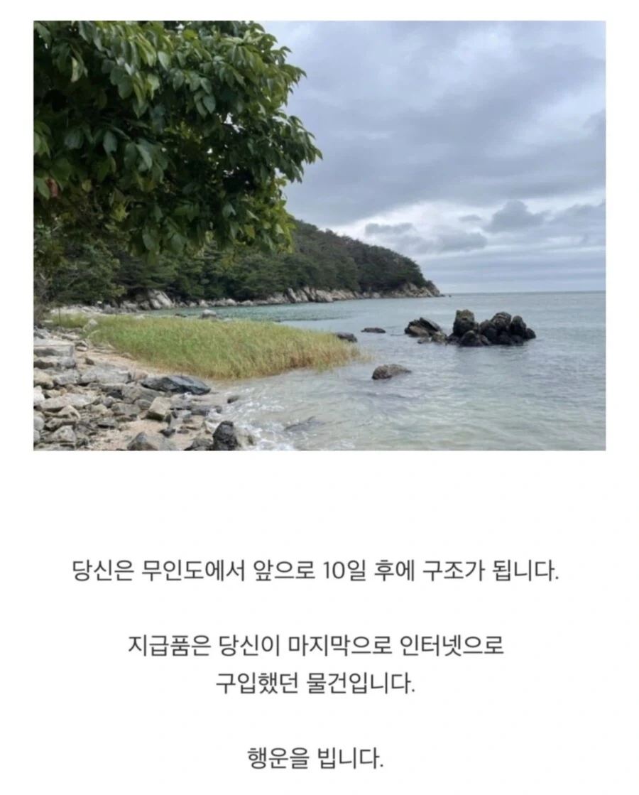 당신은 무인도에서 10일 후 구조 되지만..._1.webp