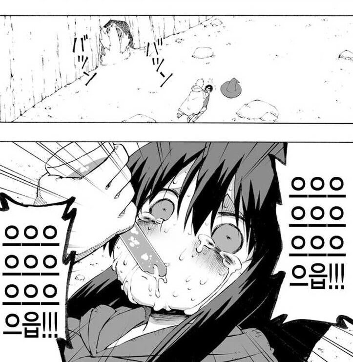 manga_2504353_001.webp