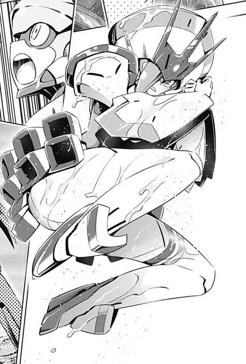 manga_2748605_043.webp