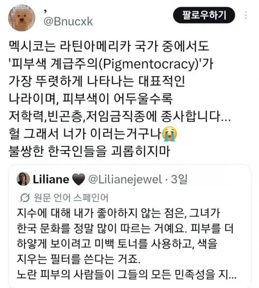 한국인 피부색에 스트레스 받는 Liliane_4.webp
