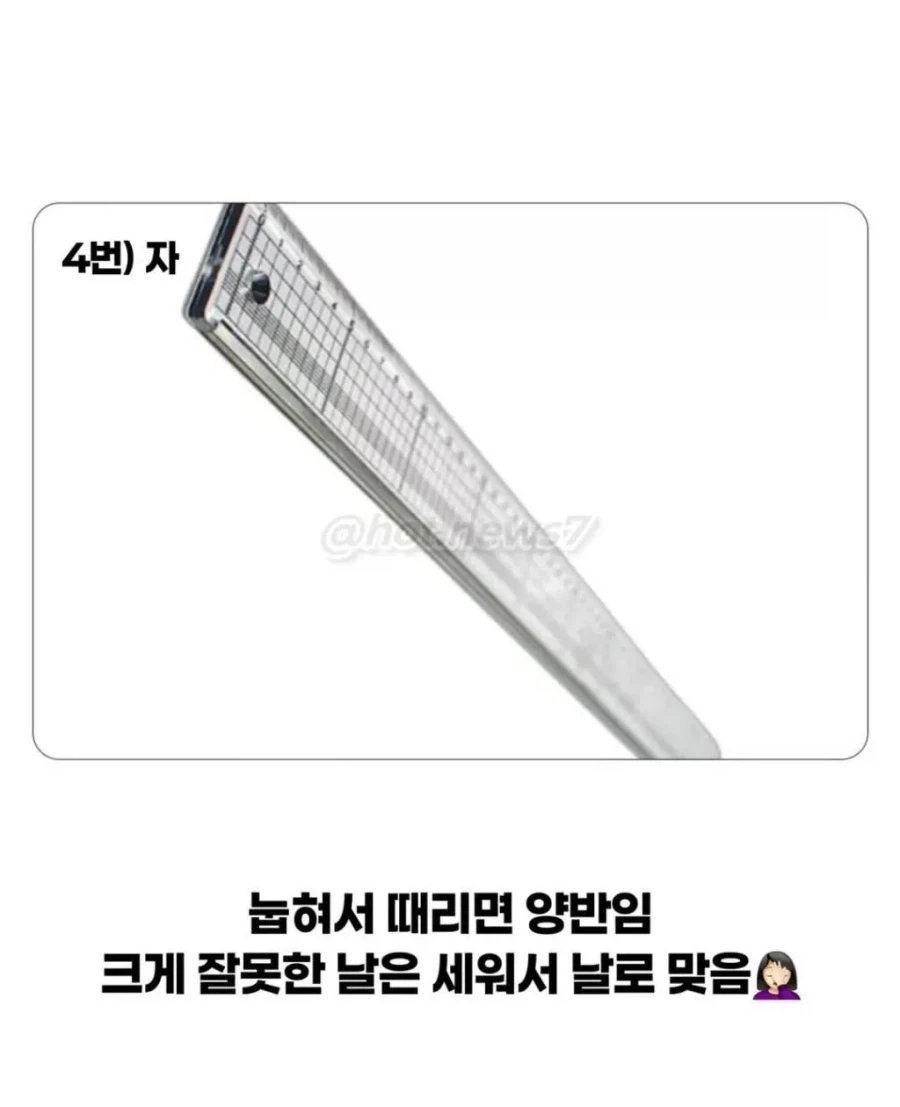 옛날에 금쪽이가 잘 안보이던 이유_5.webp