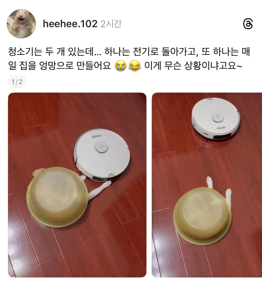청소기 두대 돌리는 집_1.webp