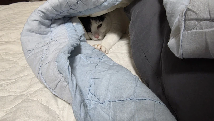 야야야야 니들 이것 봐라_1.webp