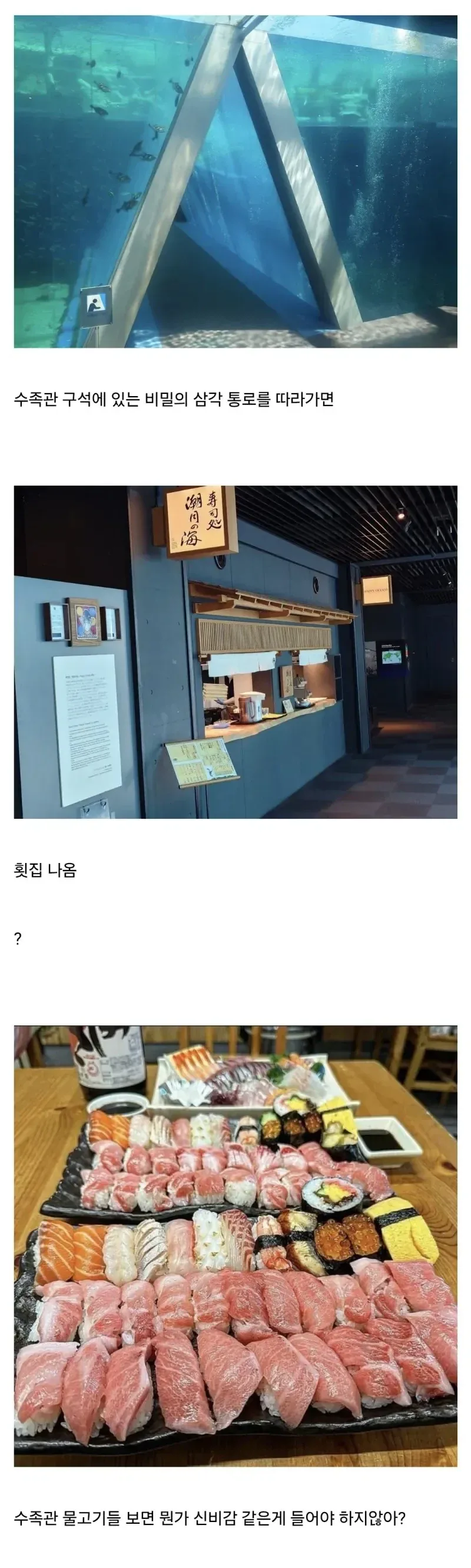 의외로 일본 수족관에 있는 것_1.webp