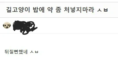 길고양이 밥그릇에 약 타면 안되는 이유_1.webp