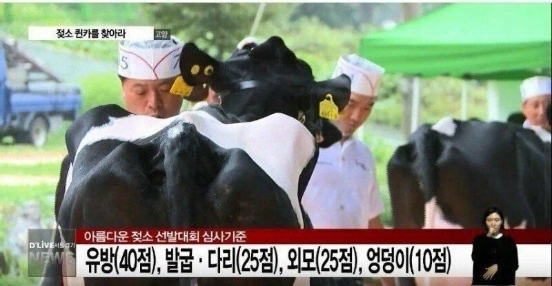유방(40점), 다리(25점), 외모(25점), 엉덩이(10점)_1.webp