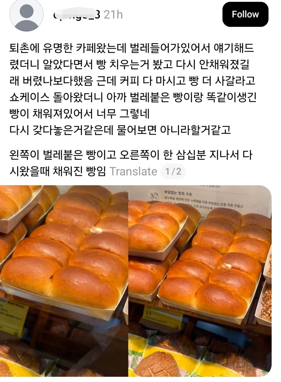 벌레 붙은 빵 재활용한 유명 빵집_1.webp