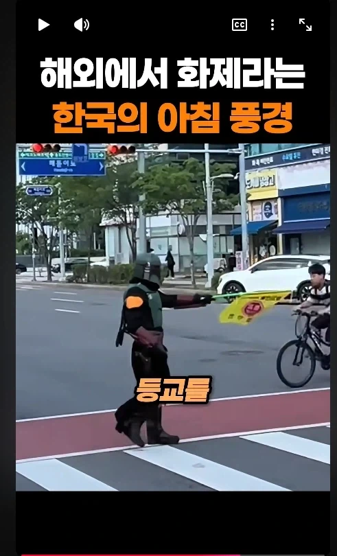 와 ㅆ 보바 펫 언제 국내에 밀입국 했냐!_1.webp