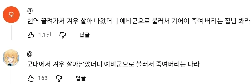 예비군 사망 사건 뉴스 댓글 중에 씁쓸했던 것_1.webp