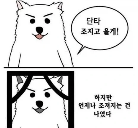 무협으로 보는 주식_2.webp