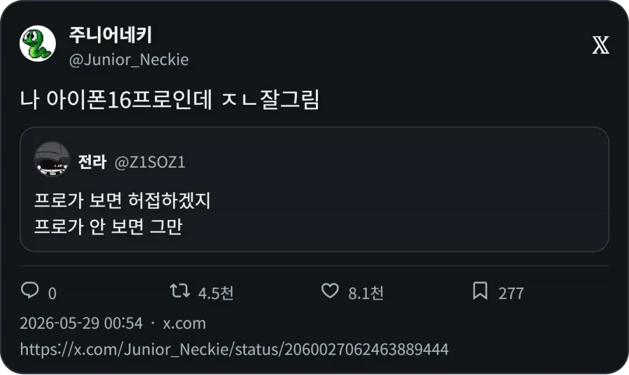 프로가 보면 허접하겠지_2.webp