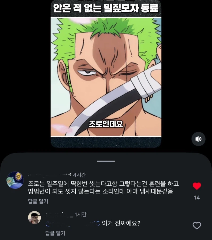 원피스 루피가 한번도 조로를 껴안은적이 없는 이유_1.webp