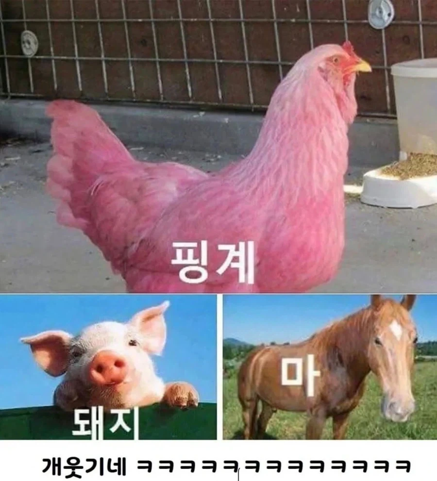 핑계대지마!_1.webp