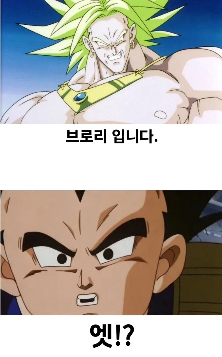 드래곤볼) 아들입니다. 마음껏 사용해 주시길 바랍니다._2.webp
