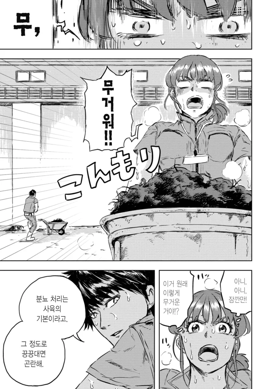 manga_2354092_036.webp