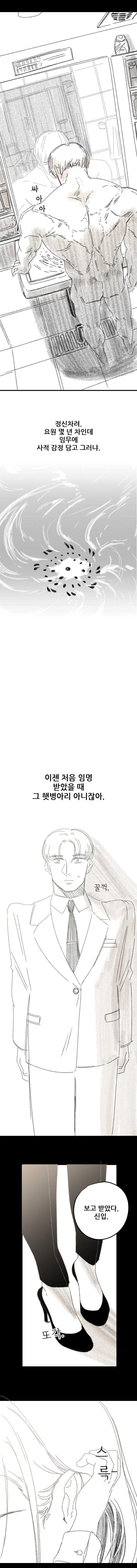 프로들이 애국하는 만화.manwha_15.jpg