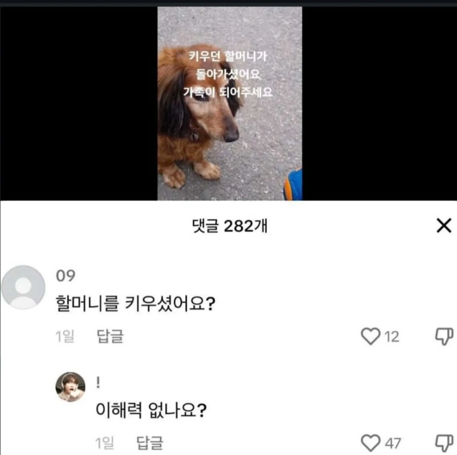 설명 하기 어려운 유머.jpg_1.webp