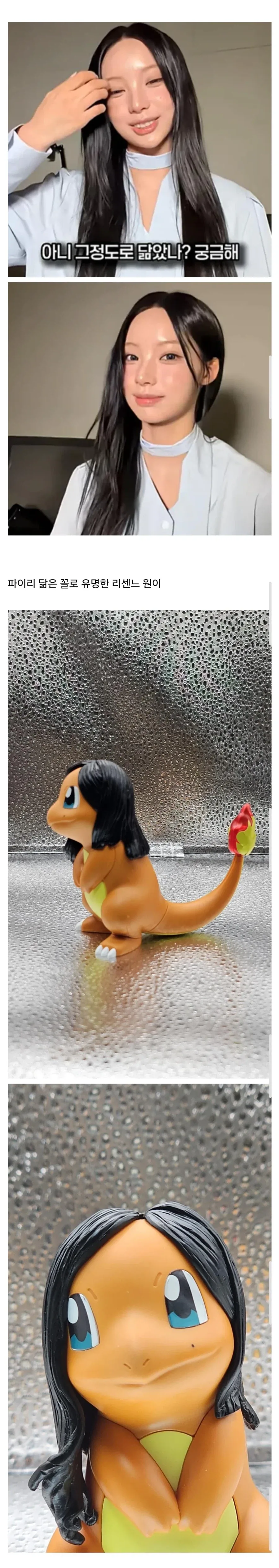 파이리를 닮았다는 아이돌.jpg_1.webp