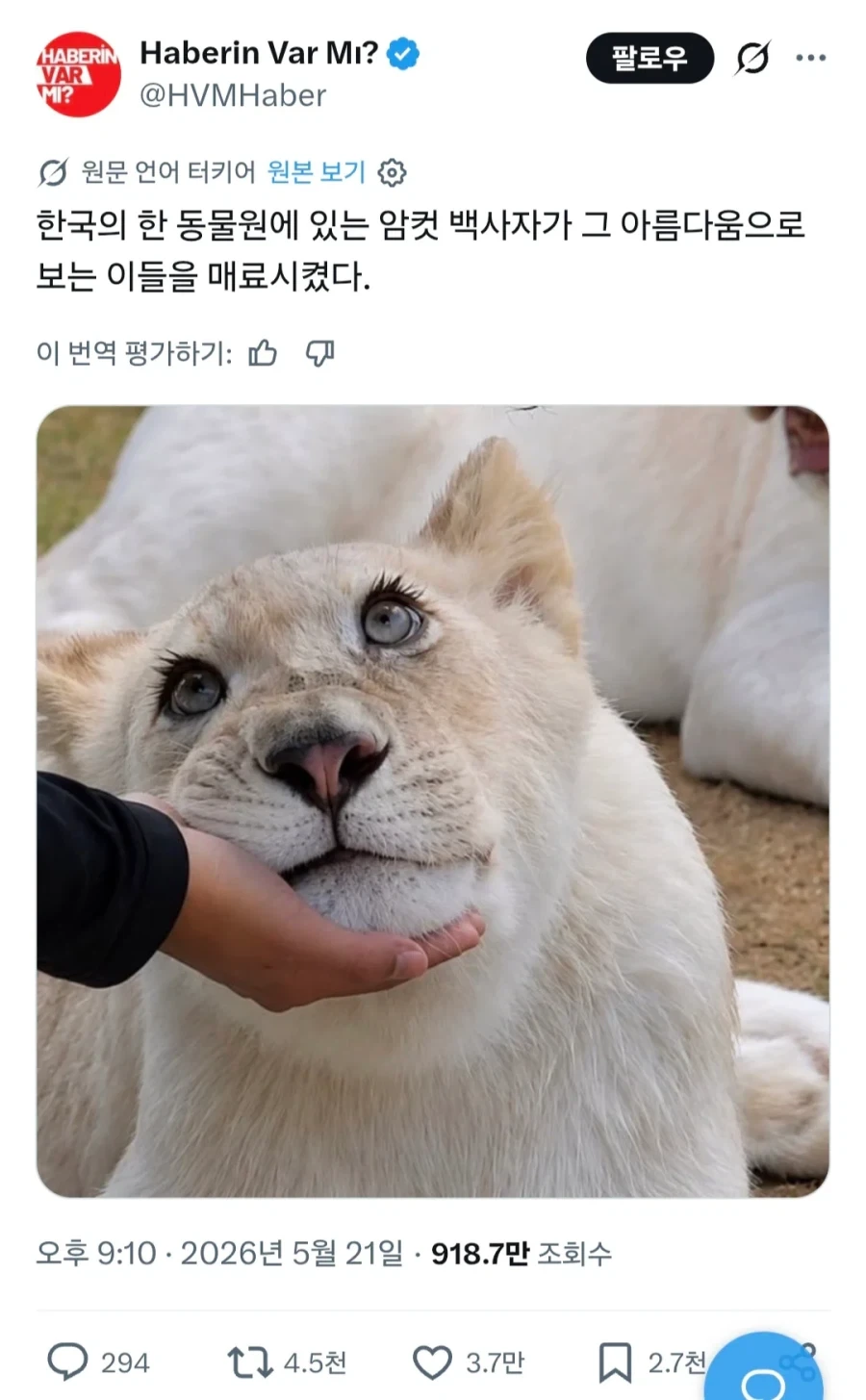 해외에서 화제인 한국 동물원_1.webp