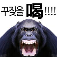 여자들 사이에서 떠도는 종량제 괴담_3.jpg
