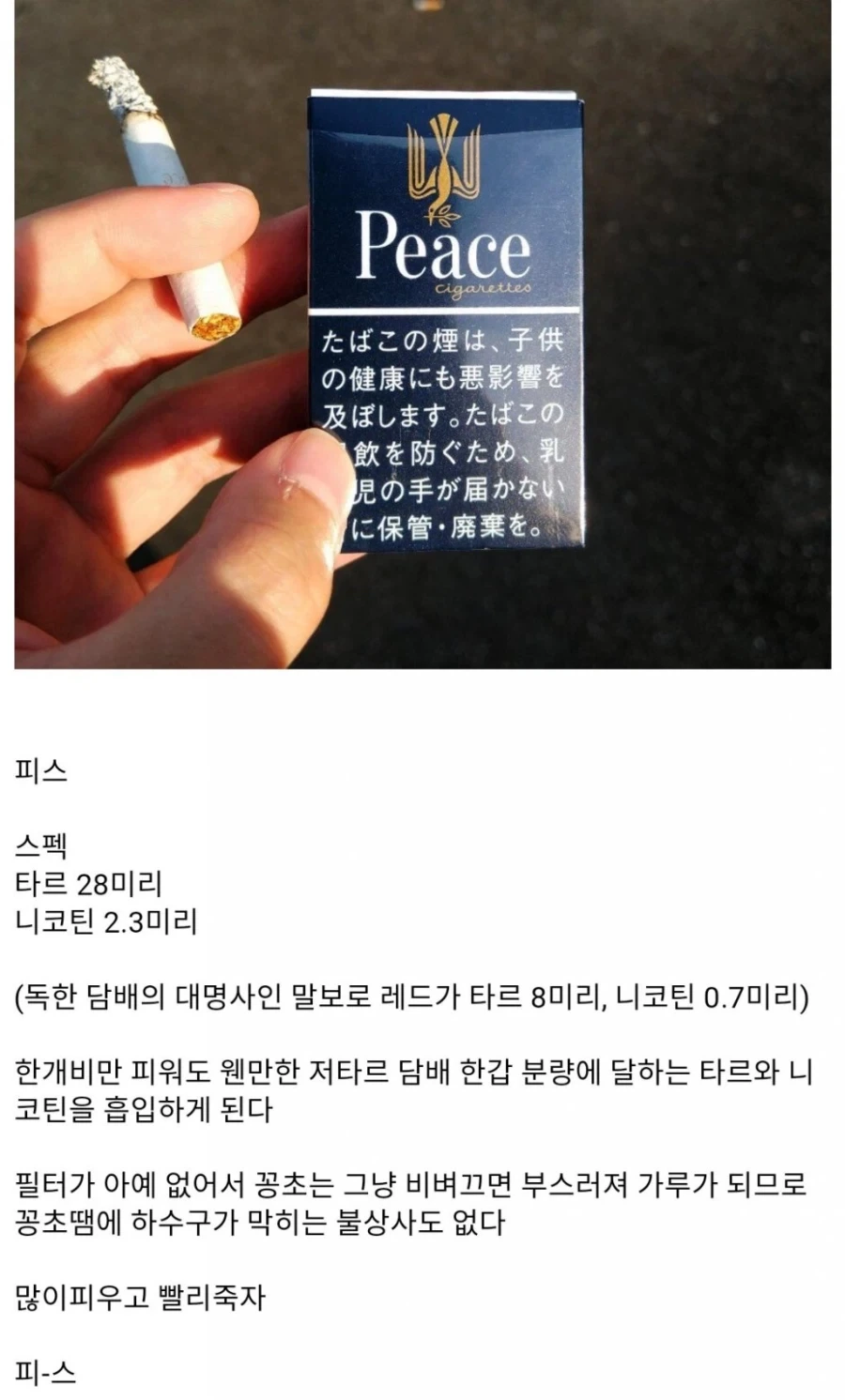 일본에서 개발된 친환경 담배_1.webp