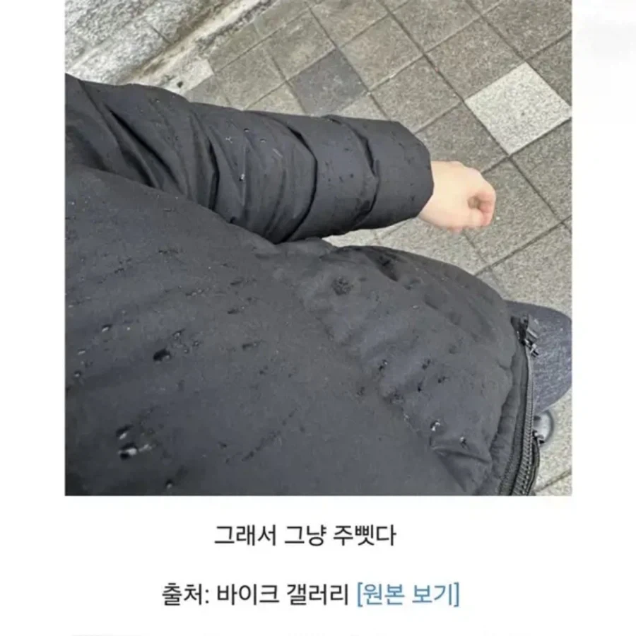 바이크갤 유저의 쓸데없는 선행_2.webp