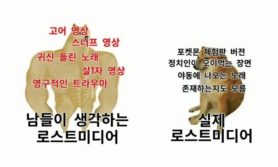 로스트 미디어 특_1.webp