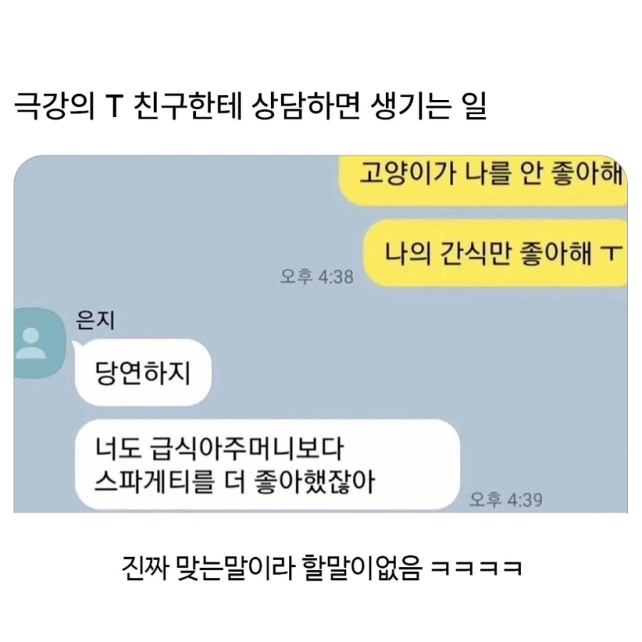 고양이가 나를 안 좋아하고 간식만 좋아해_1.webp