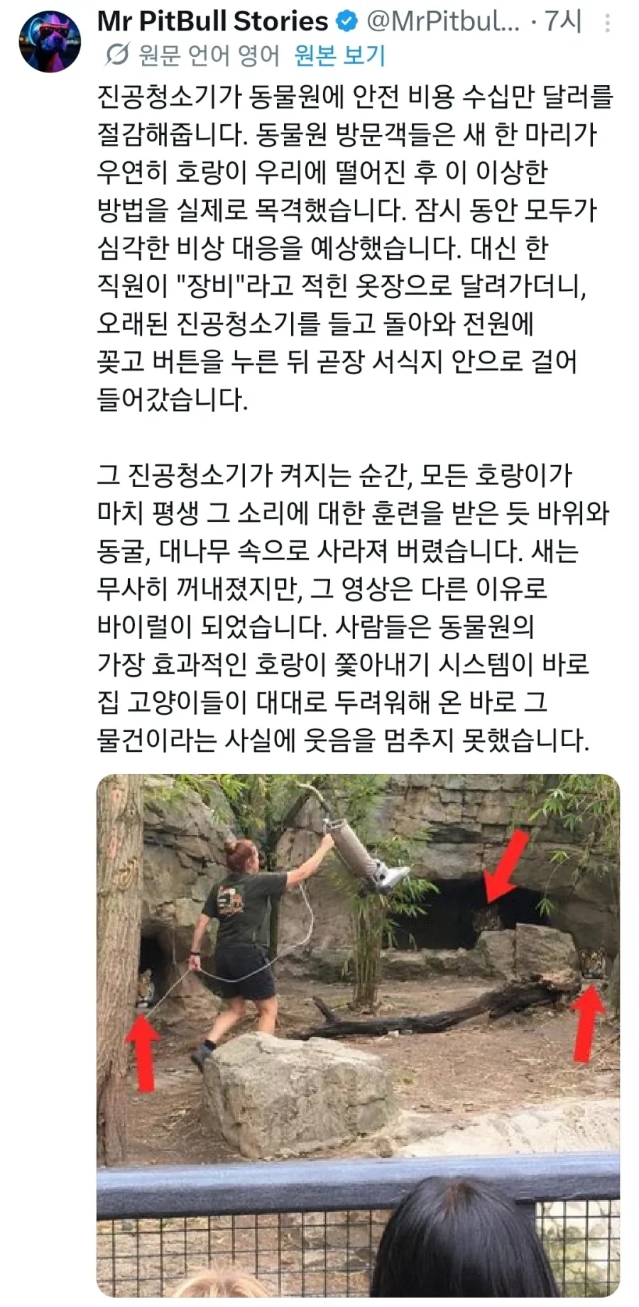 큰 고양이도 싫어하는 것_1.webp