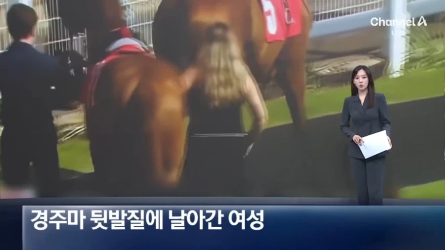 경주마 뒷발질에 날라간 여성_1.webp