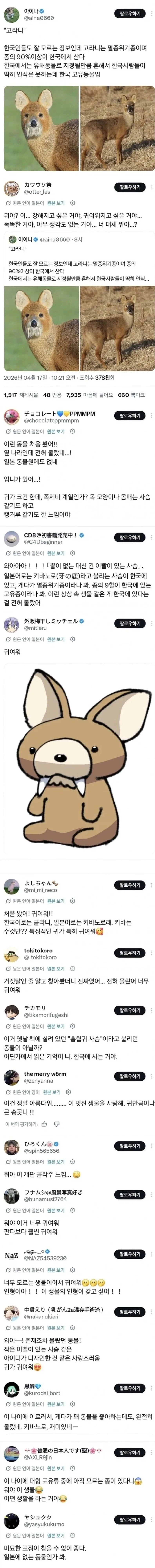 ??? : 에에 고라니?? 메차 가와이이~~_1.webp