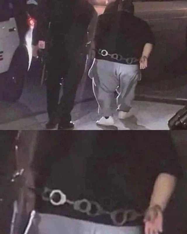 팔다리가 짧아 슬픈 현행범.jpg_1.webp